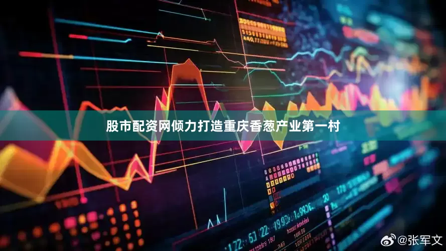 股市配资网倾力打造重庆香葱产业第一村