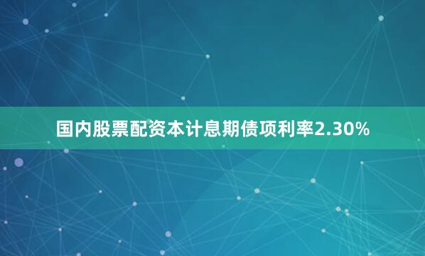 国内股票配资本计息期债项利率2.30%