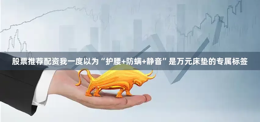 股票推荐配资我一度以为“护腰+防螨+静音”是万元床垫的专属标签